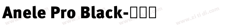 Anele Pro Black字体转换